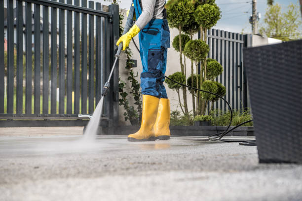 Best Driveway Pressure Washing  in Princeton, WV